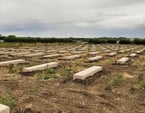 Rapid delivery timeline highlights efficiency of Solar project