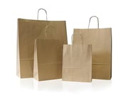 Kraft Twisted Handle Paper Bags