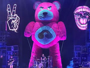 25ft Fabricated Teddy