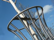 Public Realm