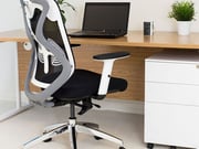 Office Chairs