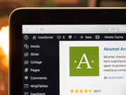 Wordpress Web Hosting