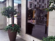Window Displays