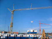 50 Meter Tower Crane