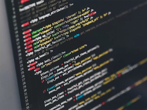 Custom Website Builds