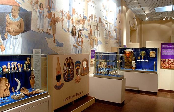 Museum Displays