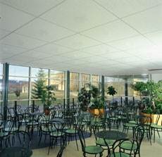 Acoustic Ceilings for Resturants