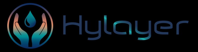 Introducing HyLayer