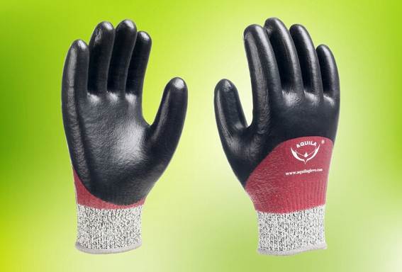 Main image for Aquila Gloves
