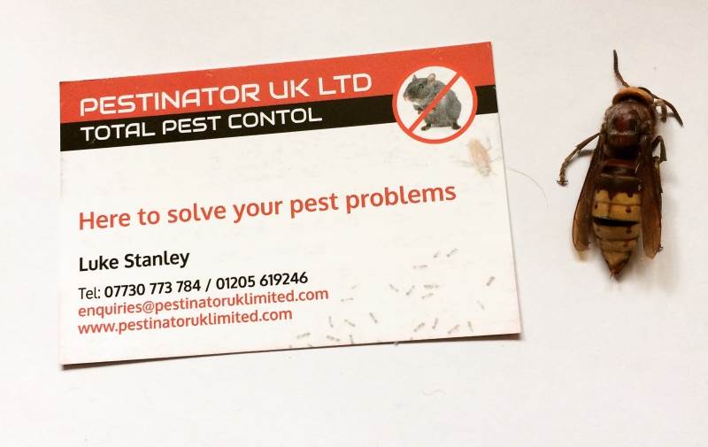 Main image for Pestinator UK LTD