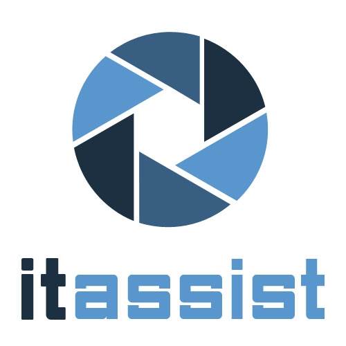 Main image for IT Assist