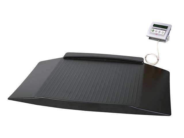 Wheelchair Scales With Wall Monitor and Handrail