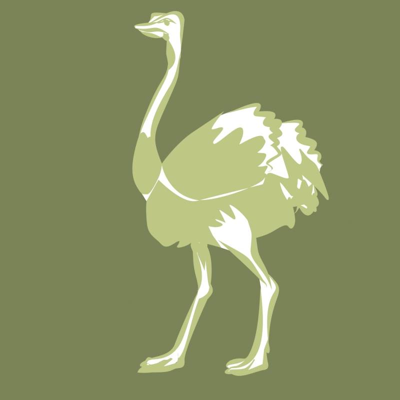 Main image for The Odd Ostrich