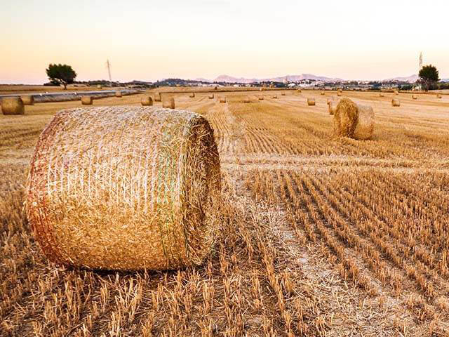 Main image for UK Agricultural Finance