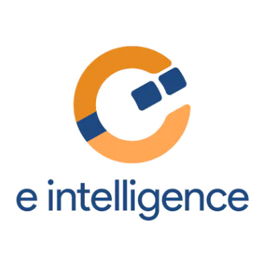 Main image for e intelligence