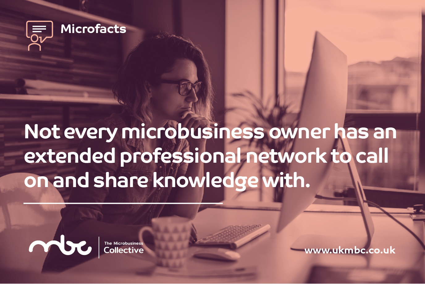 Main image for The Microbusiness Collective
