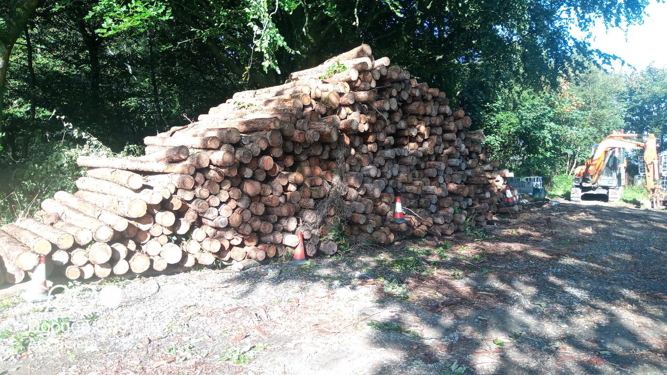 Main image for UK Firewood Processing ltd 