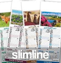 2019 Slimline Calendars
