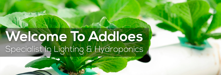 Addloes Lighting & Hydroponics