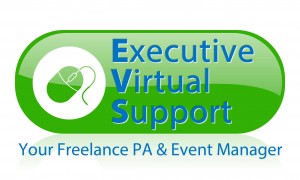Executive Virtual Support