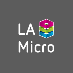 LA Micro Group Ltd