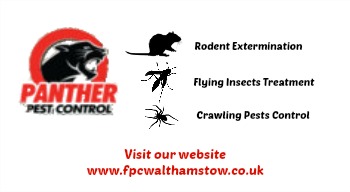 Pest Control Walthamstow