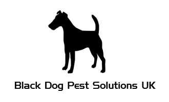 Black Dog Pest Solutions UK
