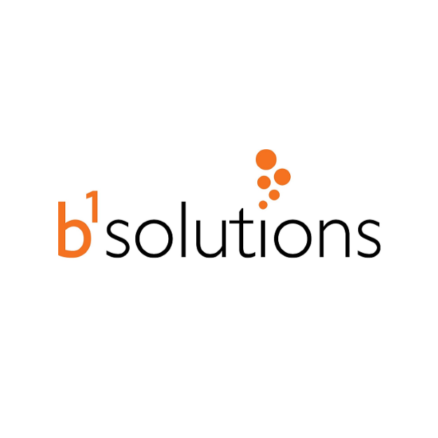 b1 Solutions