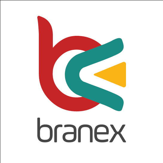 Branex Web design agency in UK