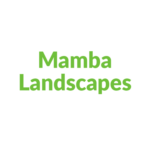 Mamba Landscapes