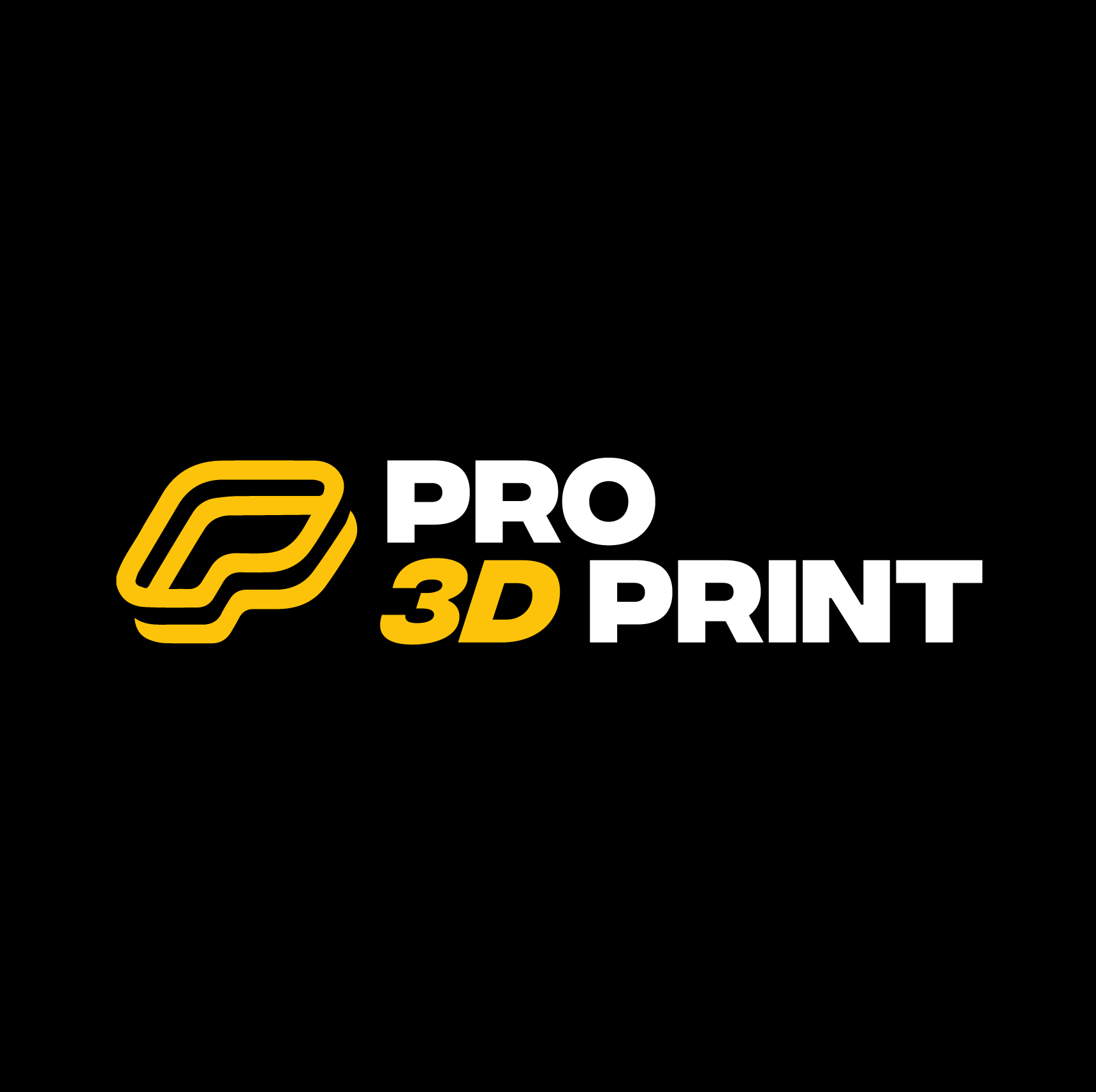 Pro 3D Print