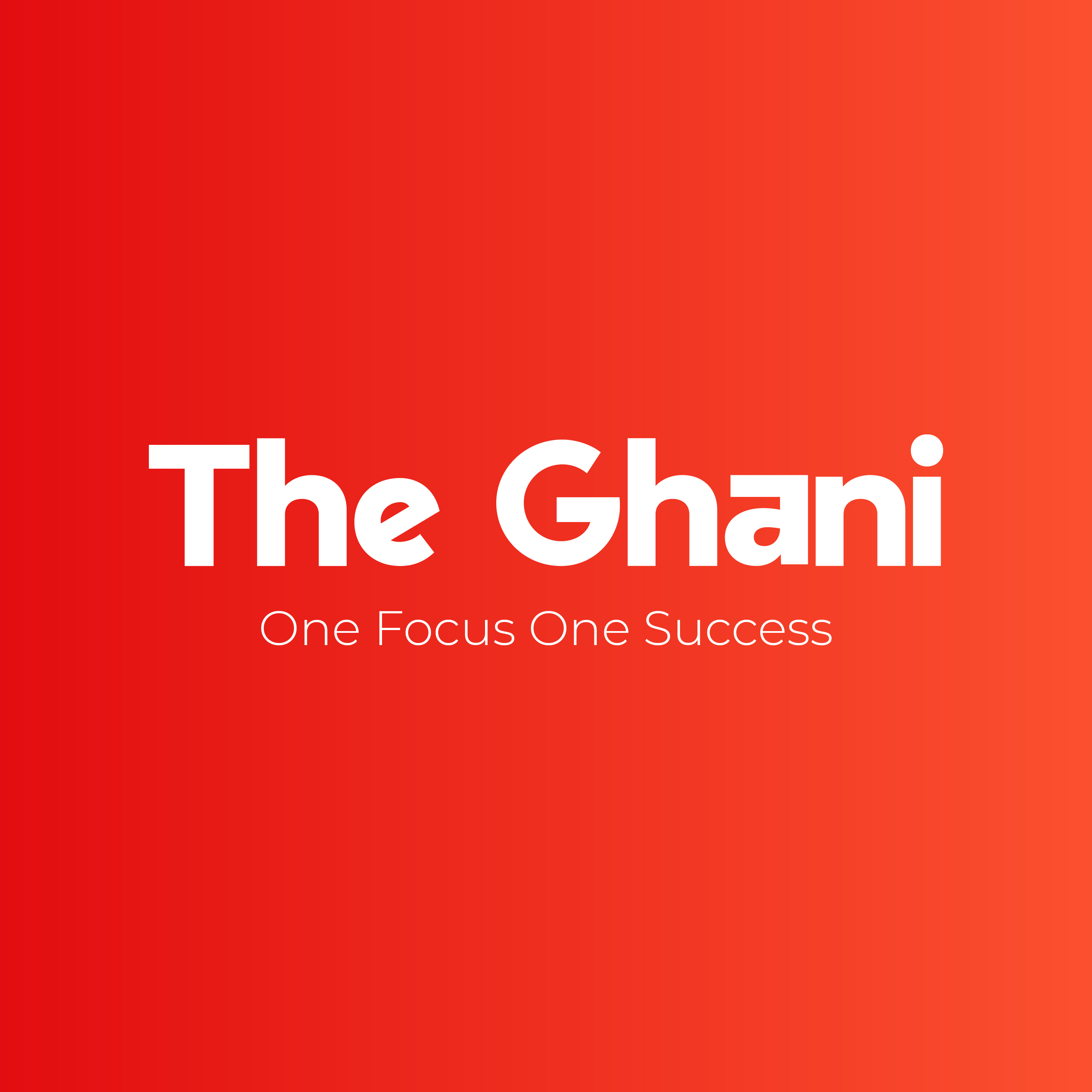 The Ghani Solutions Ltd