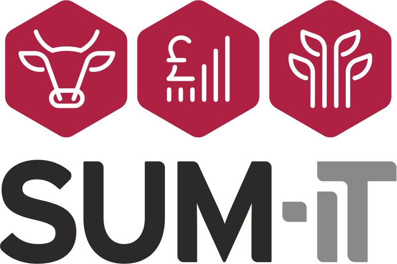 SUM-IT Computer Systems Ltd