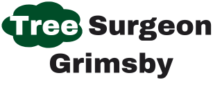 Tree Surgeon Grimsby